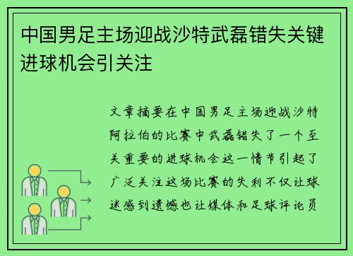 中国男足主场迎战沙特武磊错失关键进球机会引关注